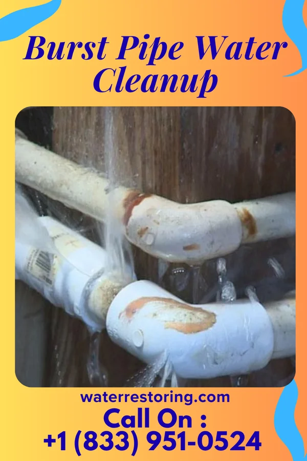 Burst Pipe Water Cleanup in Eastvale, PA