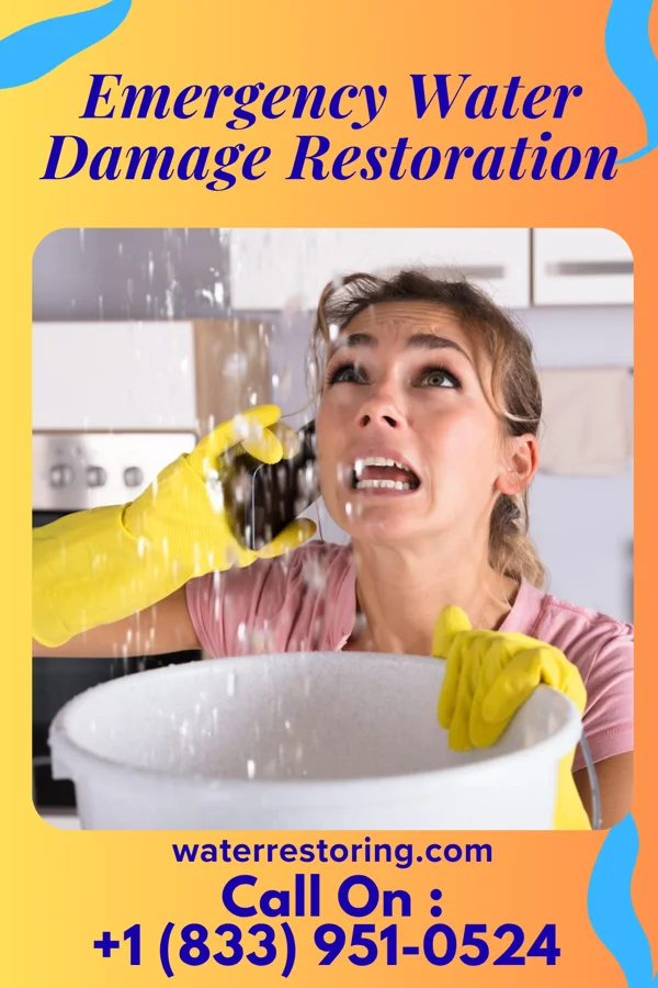 Emergency Water Damage Restoration in Eastvale, PA