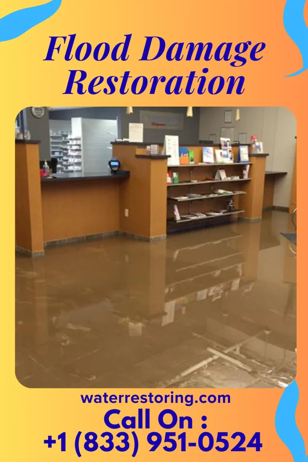 Flood Damage Restoration in Eastvale, PA
