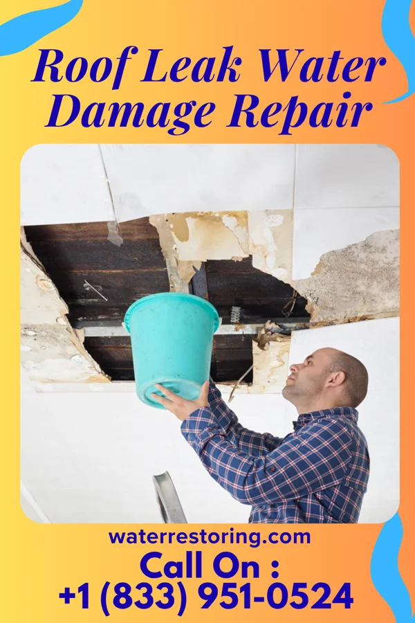 Roof Leak Water Damage Repair in Eastvale, PA