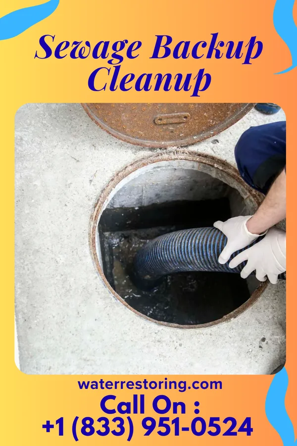Sewage Backup Cleanup in Eastvale, PA