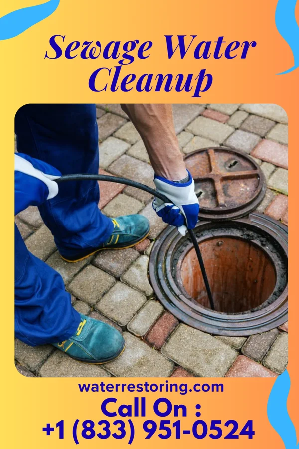 Sewage Water Cleanup in Eastvale, PA